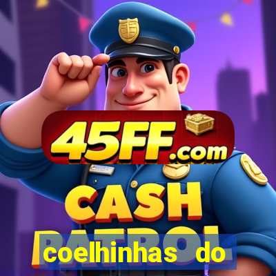 coelhinhas do brasil recife